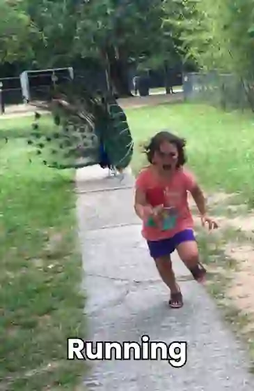 Muhammad Firman Syahrani